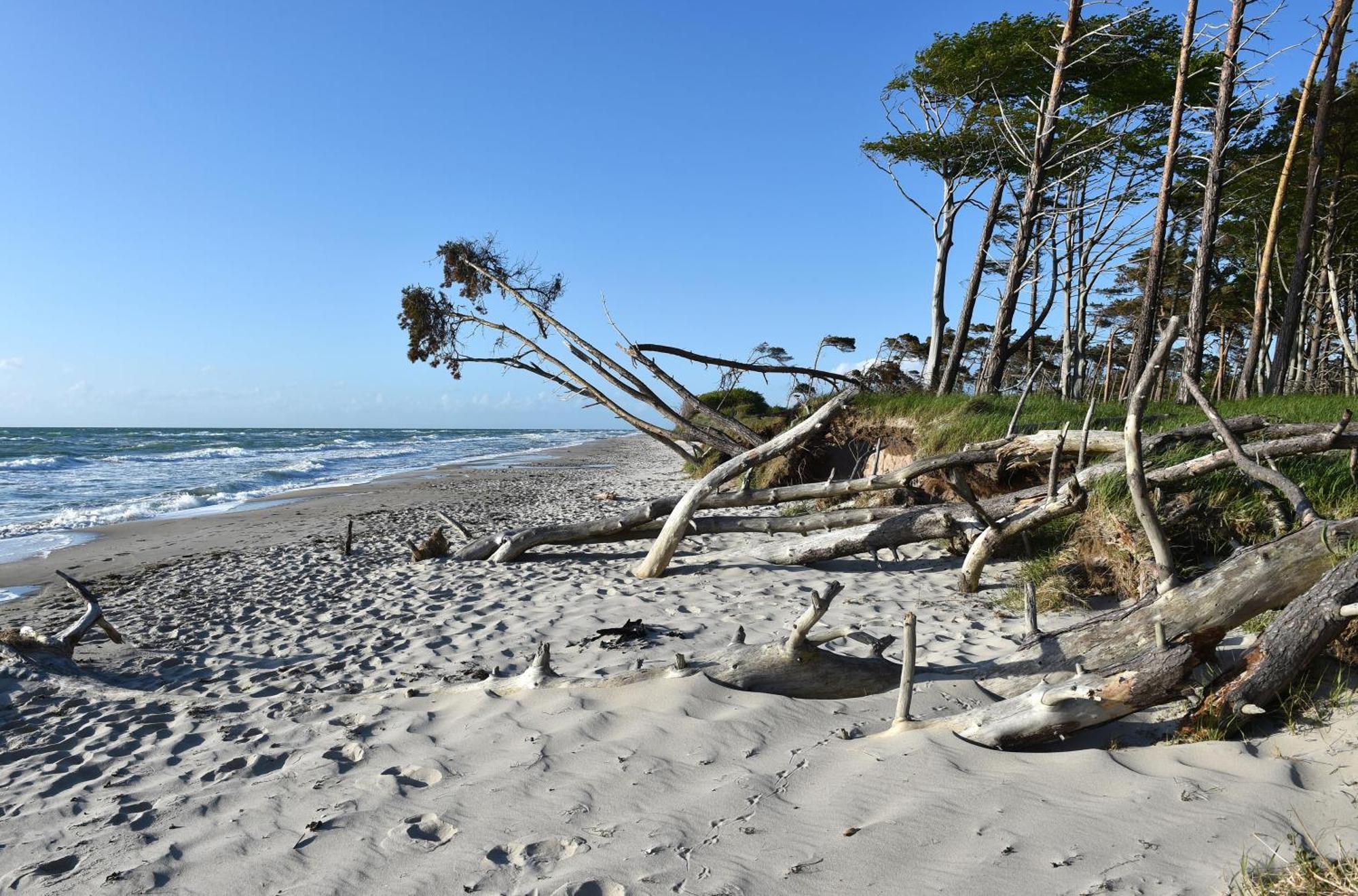 Strandhafer An Der Seebruecke 青斯特 外观 照片