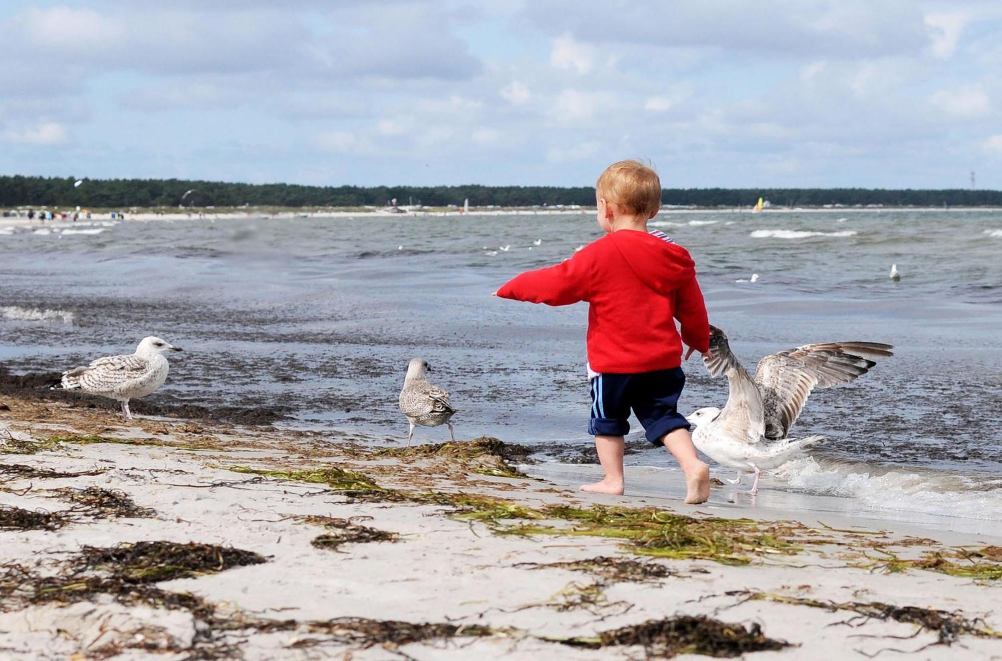 Strandhafer An Der Seebruecke 青斯特 外观 照片